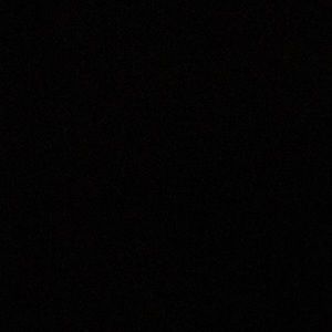 Meet your Posher, Mona